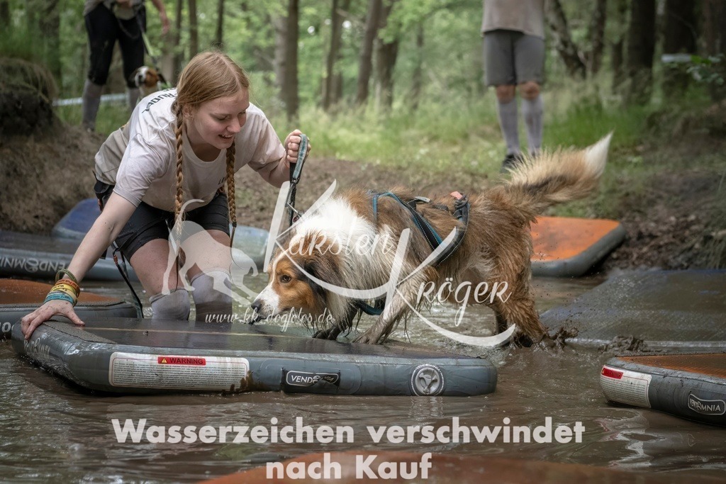 1213_ZZ97881T | kk-dogfotos