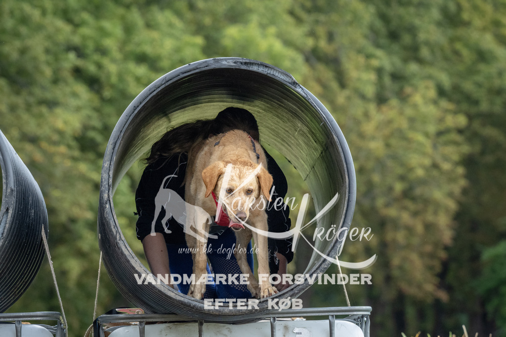 1130_ZZ94516 | kk-dogfotos