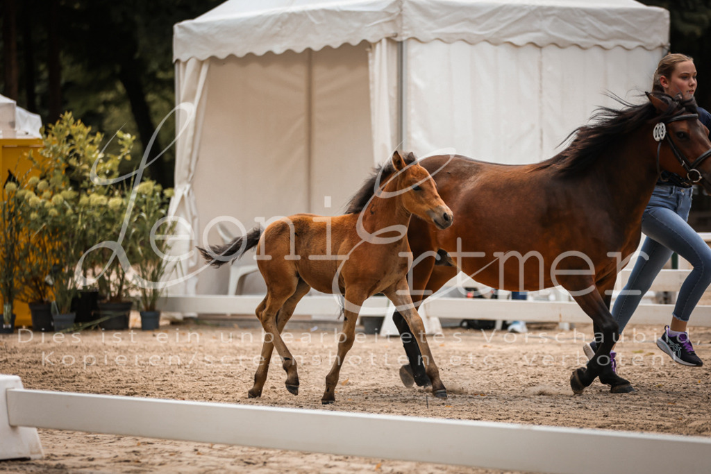 02.DoSR00074 | Leoni Ertmer Photography - Realisiert mit Pictrs.com