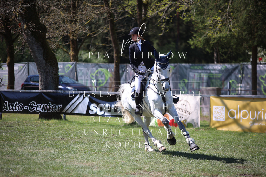 IMGT8084 | pl-fotografie