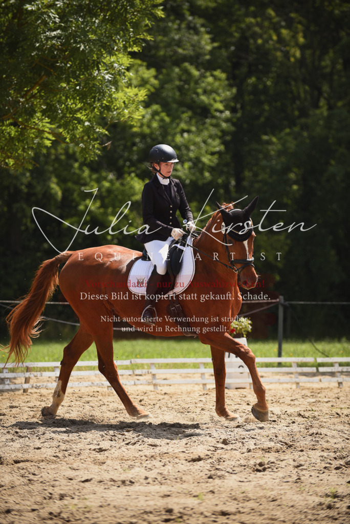 DSC_1092 | Pferde- und Turnierfotografie in Westsachsen. Pferdeportraits, Auftragszeichnungen und intuitive Kunst.