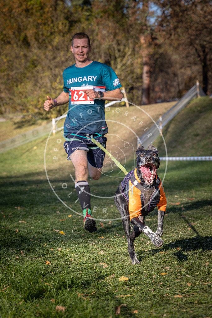 CaniXpix_0L8A8794 | Hundefotografie, Tierfotograf, Pfotenfotografie, Fotoshooting Hund, Hunde Portrait, Hundesport, Hundeportraits, Heideshooting, Hunde, Sportfotograf, Hundefotograf, Turnierhundsport, THS,  - Realisiert mit Pictrs.com
