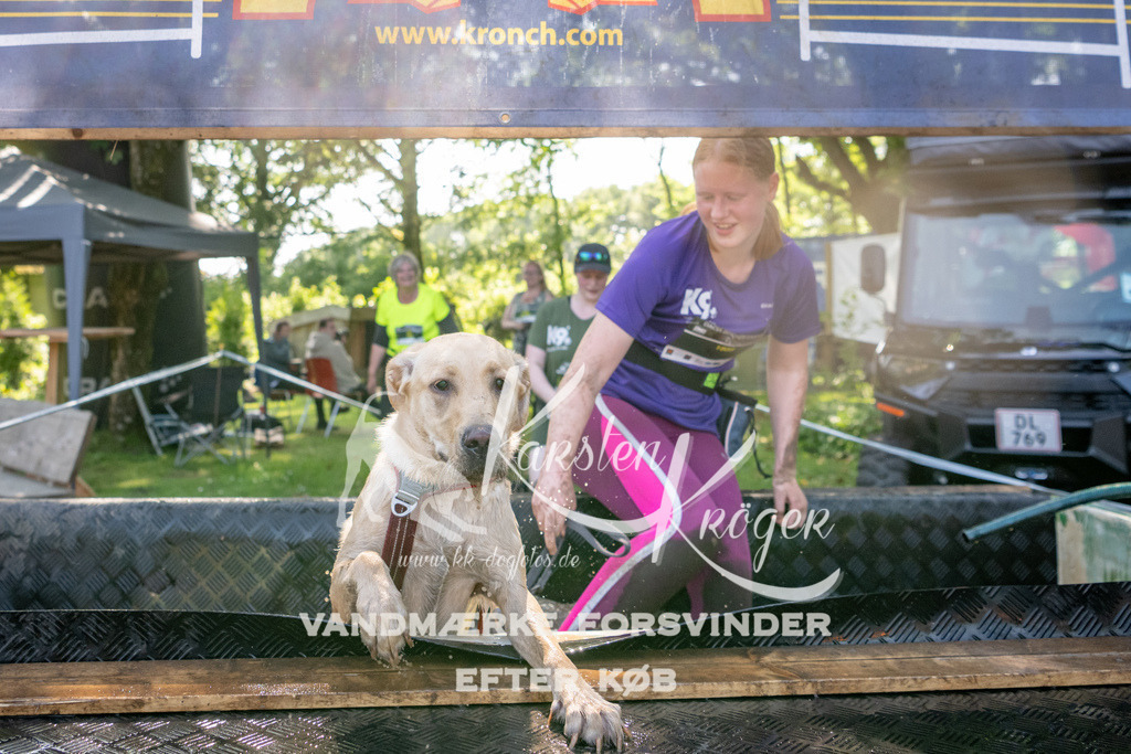 1538_ZZ92185 | kk-dogfotos