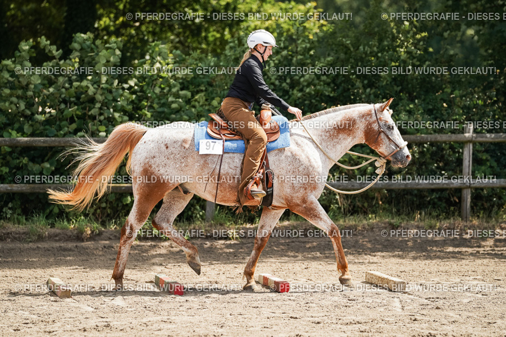 DSC06415 | Pferdegrafie