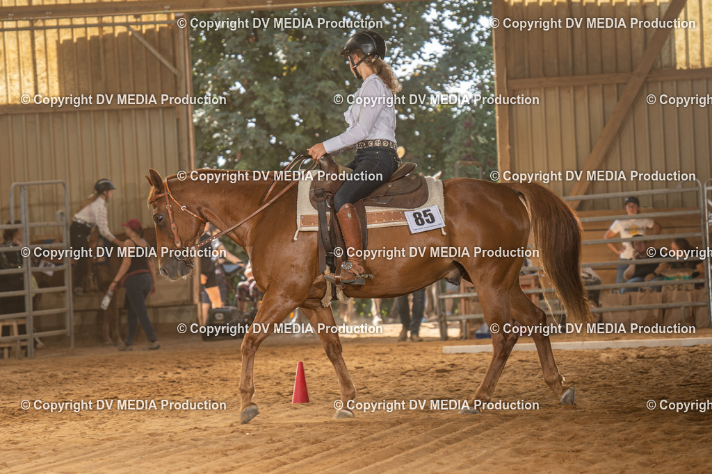 NID03020 | dv-media-shop - Realisiert mit Pictrs.com