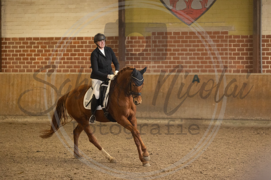 994A9393 | sabrinanicolaifotografie - Realisiert mit Pictrs.com