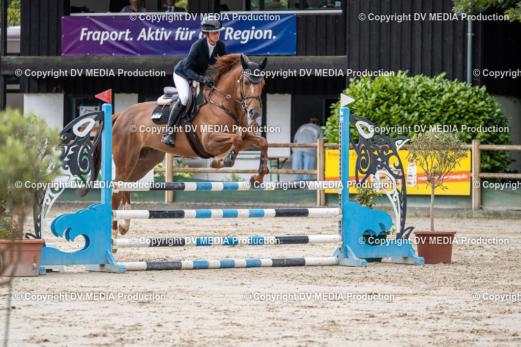 Hessische Tag 1-042 | dv-media-shop - Realisiert mit Pictrs.com