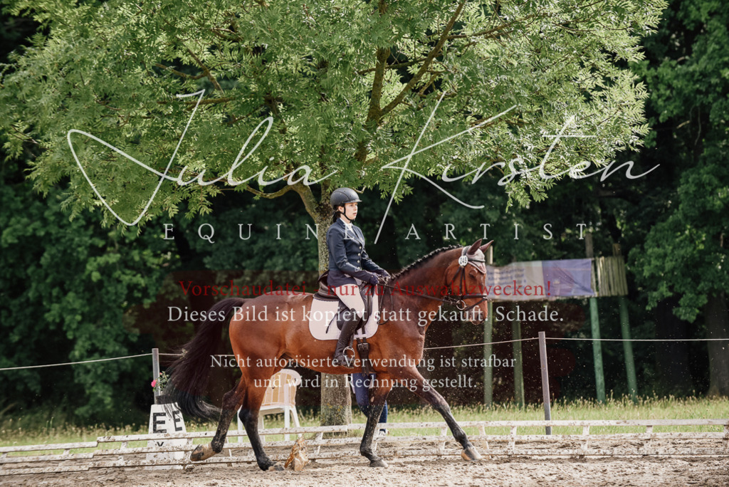 DSC_9628 | Pferde- und Turnierfotografie in Westsachsen. Pferdeportraits, Auftragszeichnungen und intuitive Kunst.