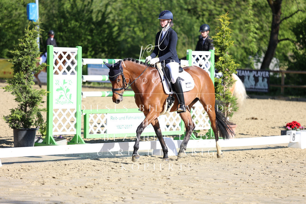 IMGT9570 | pl-fotografie