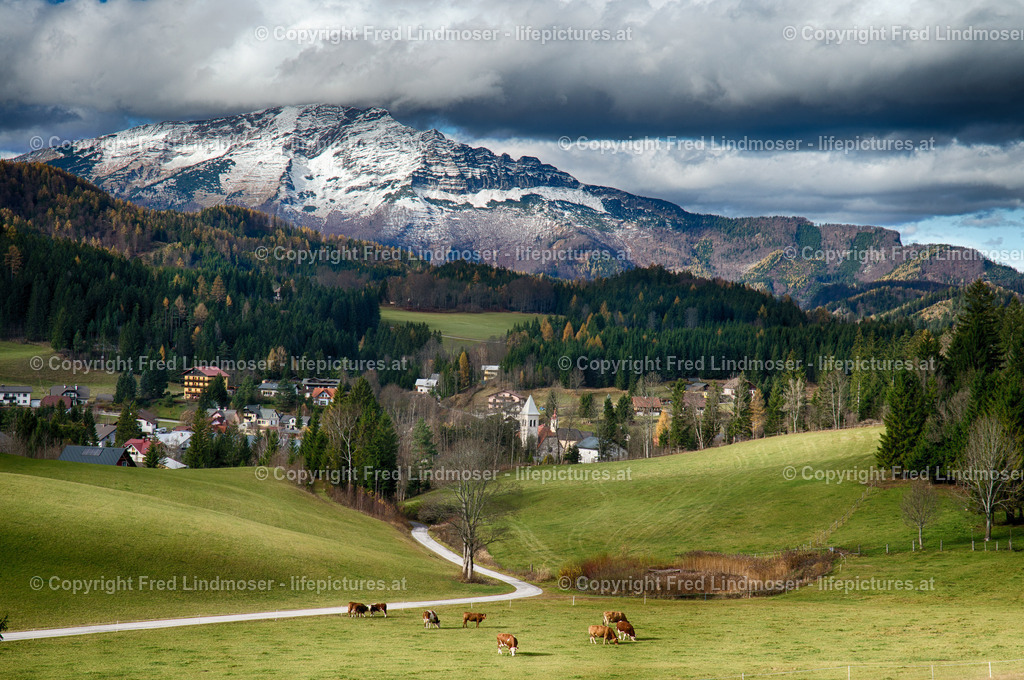Otscher  (27) | Fotos und Fotoprodukte - Realisiert mit Pictrs.com