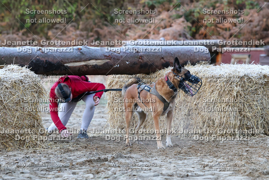 Dog Paparazzi - Strongdog 10-25-343 | Dog Paparazzi Jeanette Grottendiek Fotografie & Videografie