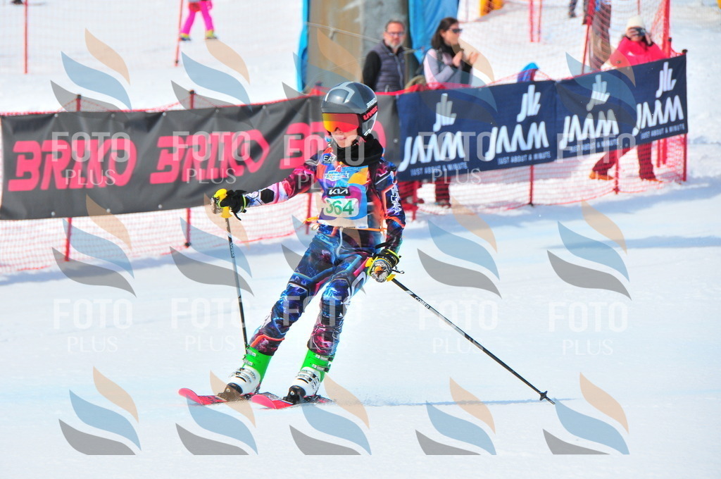 DSC_3260 | holidayphoto