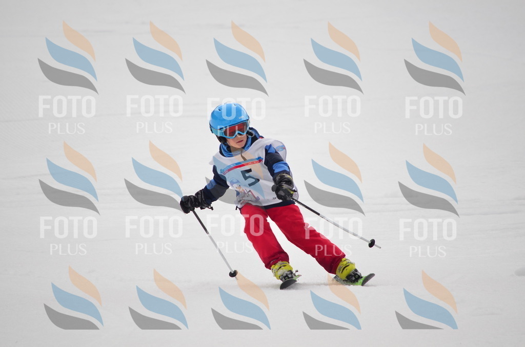 B9806 | holidayphoto