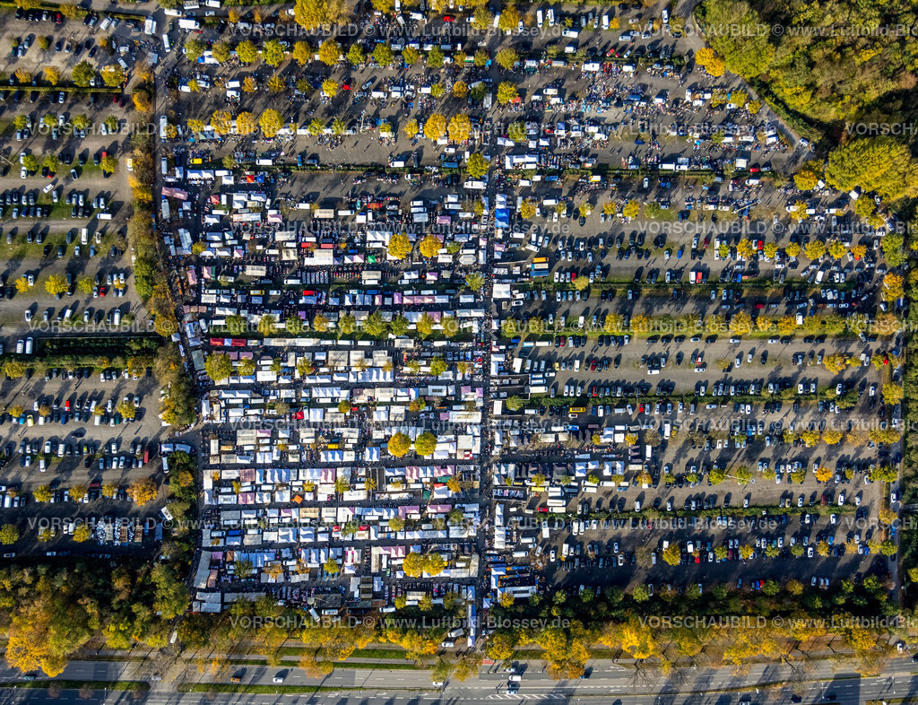 Gelsenkirchen221102176noerdlich | Luftbild, Gigantmarkt Gelsenkirchen, Flohmarkt, Willy-Brandt-Allee, Erle, Gelsenkirchen, Ruhrgebiet, Nordrhein-Westfalen, Deutschland