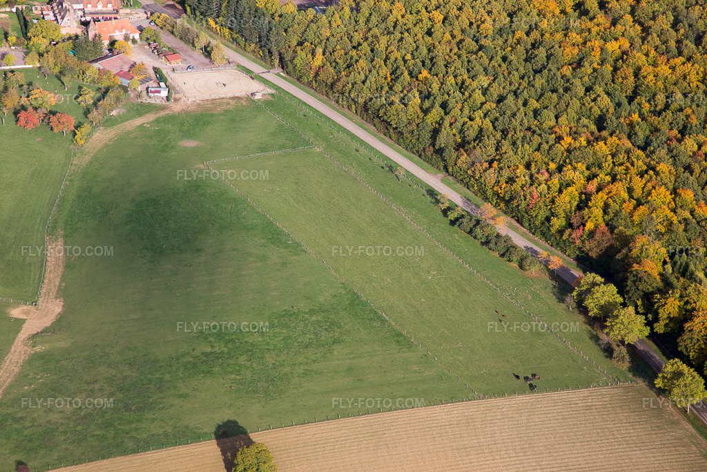 Aerial view: Villa le Riessack in Niederbronn-les-Bains in the state Bas-Rhin, France.Photo: IMG_084710.jpg taken on 10/23/2015 by Werner Riehm/FLY-FOTO.comResolution of the original: 5472 x 3648 px