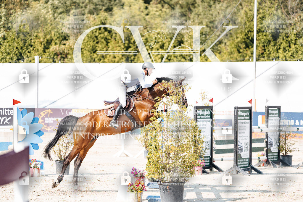 CK902348 | Turnierfotografie Pferdefotografie Trier Rheinland-Pfalz Pferdesport Reitsport Tierfotografie Sportfotografie Pferdevideo Pferdevideografie Equestrianvideography equestrianphotography  - Realisiert mit Pictrs.com