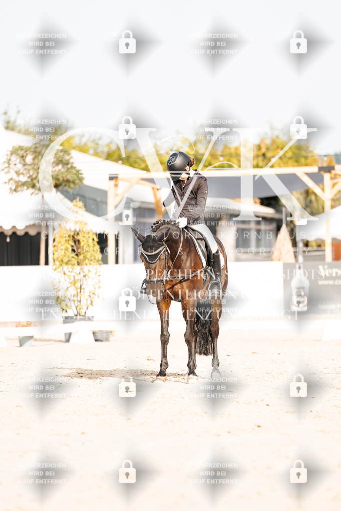 CK904486 | Turnierfotografie Pferdefotografie Trier Rheinland-Pfalz Pferdesport Reitsport Tierfotografie Sportfotografie Pferdevideo Pferdevideografie Equestrianvideography equestrianphotography  - Realisiert mit Pictrs.com