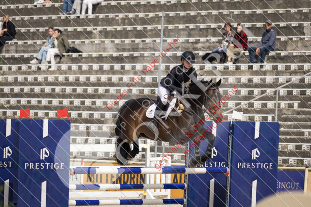 IMG_4866 | Sport-, Event- und Tierfotos in Profiqualität. Einfach auswählen, bestellen und herunterladen. Dein Moment – perfekt festgehalten.