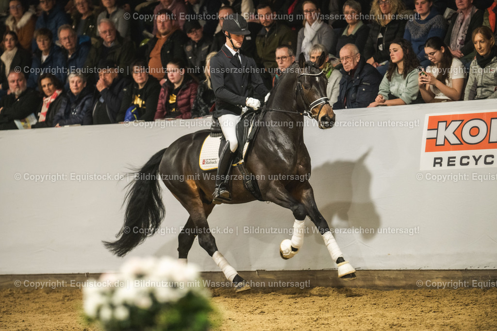 20240302_Hengstvorstellung_Marbach_TOMsPiC_0396-2 | equistock