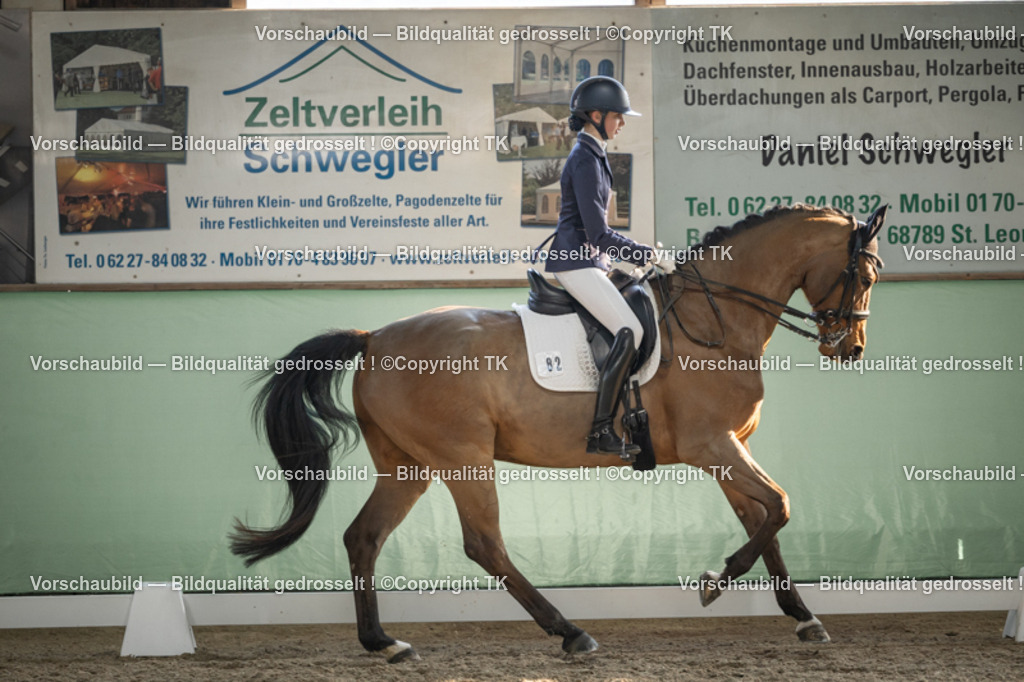 _D5A3197 | Emotionale Pferde- & People-Fotografie rund um Heidelberg, Leimen & Umgebung. Natürliche Fotos von Pferd, Mensch & Familie. Jetzt Termin sichern!