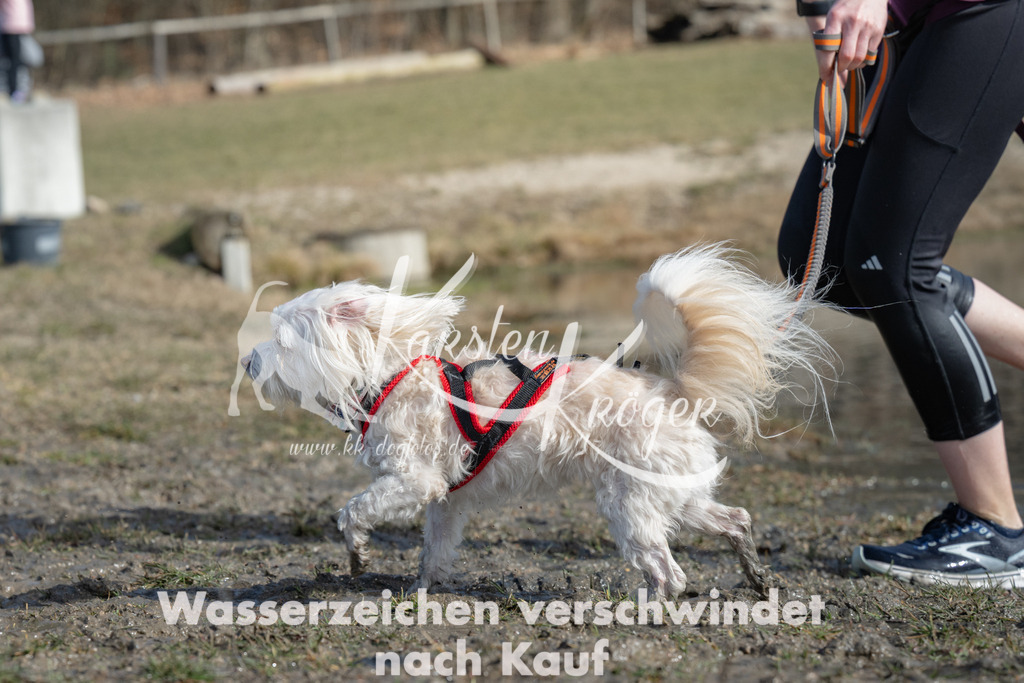 1147_ZZ96422-3 | kk-dogfotos