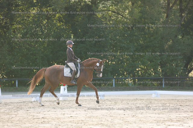 HG9A7617 | laurarinckfotografie - Realisiert mit Pictrs.com