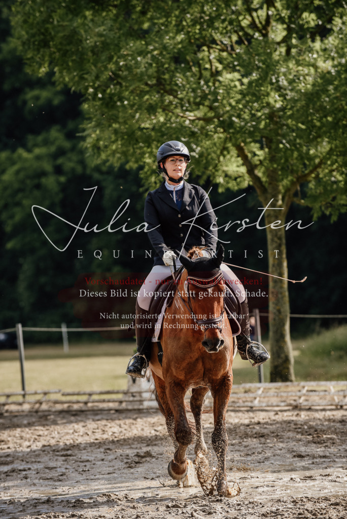 DSC_8908 | Pferde- und Turnierfotografie in Westsachsen. Pferdeportraits, Auftragszeichnungen und intuitive Kunst.