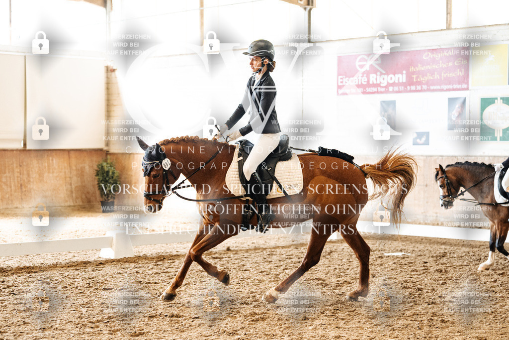 CK900524 | Turnierfotografie Pferdefotografie Trier Rheinland-Pfalz Pferdesport Reitsport Tierfotografie Sportfotografie Pferdevideo Pferdevideografie Equestrianvideography equestrianphotography  - Realisiert mit Pictrs.com