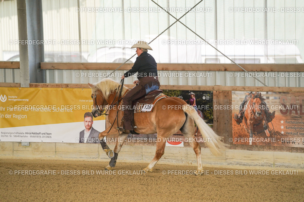 DSC02858 | Pferdegrafie