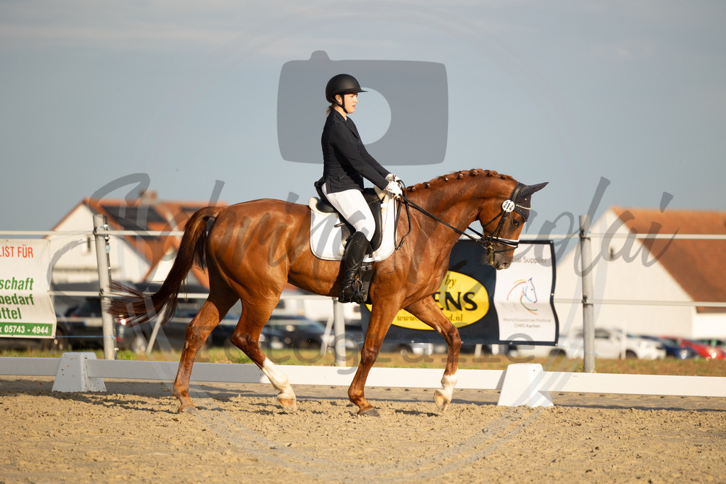 994A0246 | sabrinanicolaifotografie - Realisiert mit Pictrs.com