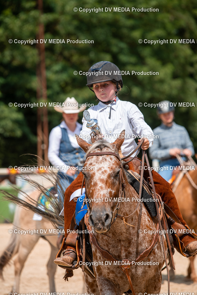 ZS2_8230 | dv-media-shop - Realisiert mit Pictrs.com