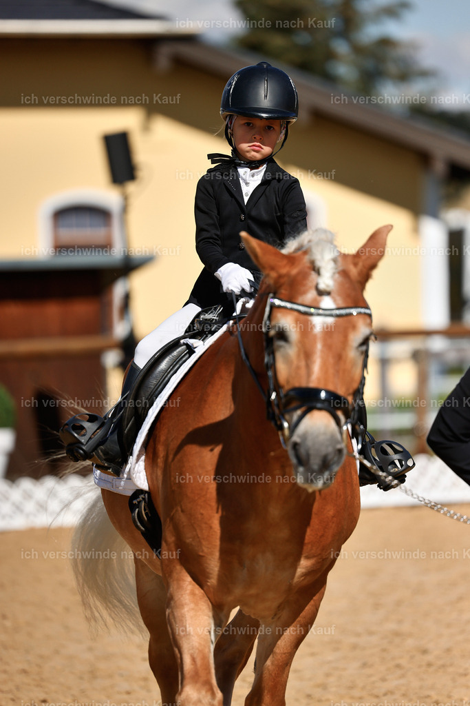 01--Ponyführzügel -StoibPH-6834 | working equitationturnier fotograf videograf stoibphotography marixx film working equitation deutschland reitsport turnierfotografie eventfotografie equestrian events