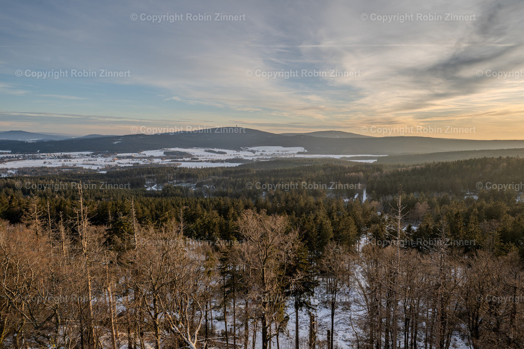 Waldstein-2024-8 | Robin Zinnert - Realisiert mit Pictrs.com