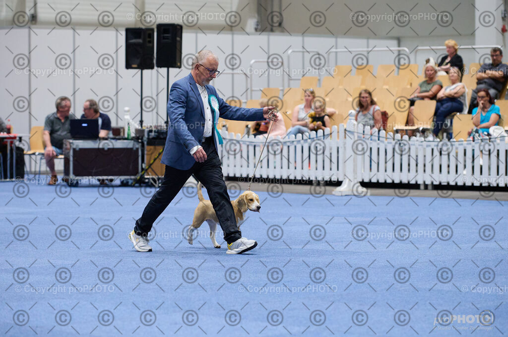 202406_ÖKV-IHA-Tulln24_DSC_3089 | proPHOTO - Realisiert mit Pictrs.com