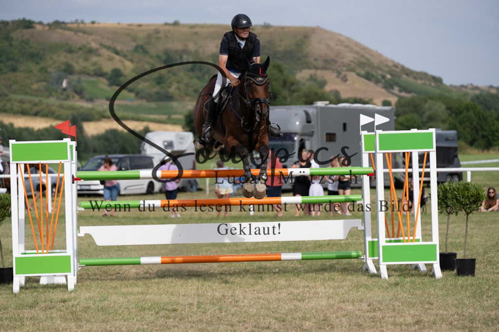 A7V02653 | Pferdefotograf