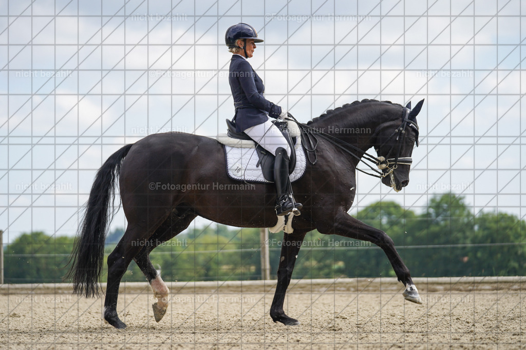 20230826-FAH05880 | Forstinning, 2023, Dressurturnier, Turniersportbilder, Turnierfotografen Bayern, Fotoagentur Herrmann, Reitsportfotografie, Turnierbilder