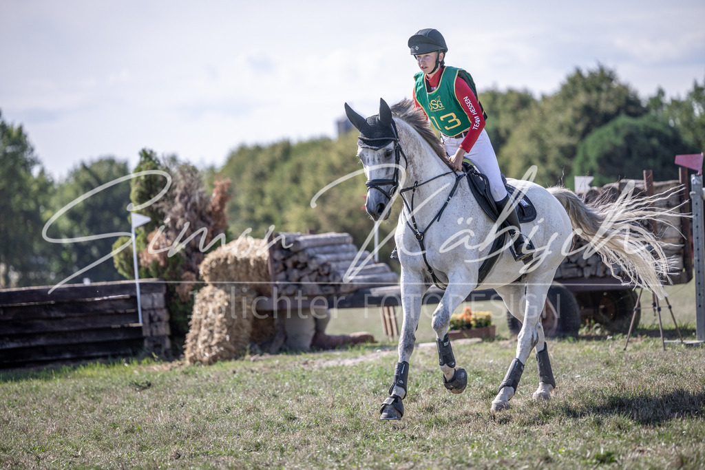 20260906-_3LI5872 | Tierfotografie Pferde, Hunde, Katzen, Haustiere.
Turnierfotografie Reitturniere, Reiten, Springreiten, Dressur in Hanau, dem Main-Kinzig-Kreis und dem Rhein-Main- Gebiet um Frankfurt