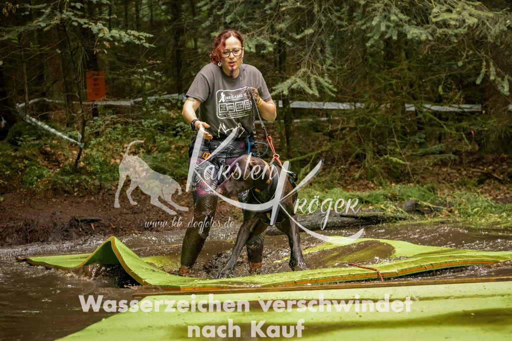 1211_ZZ92987-Bearbeitet | kk-dogfotos
