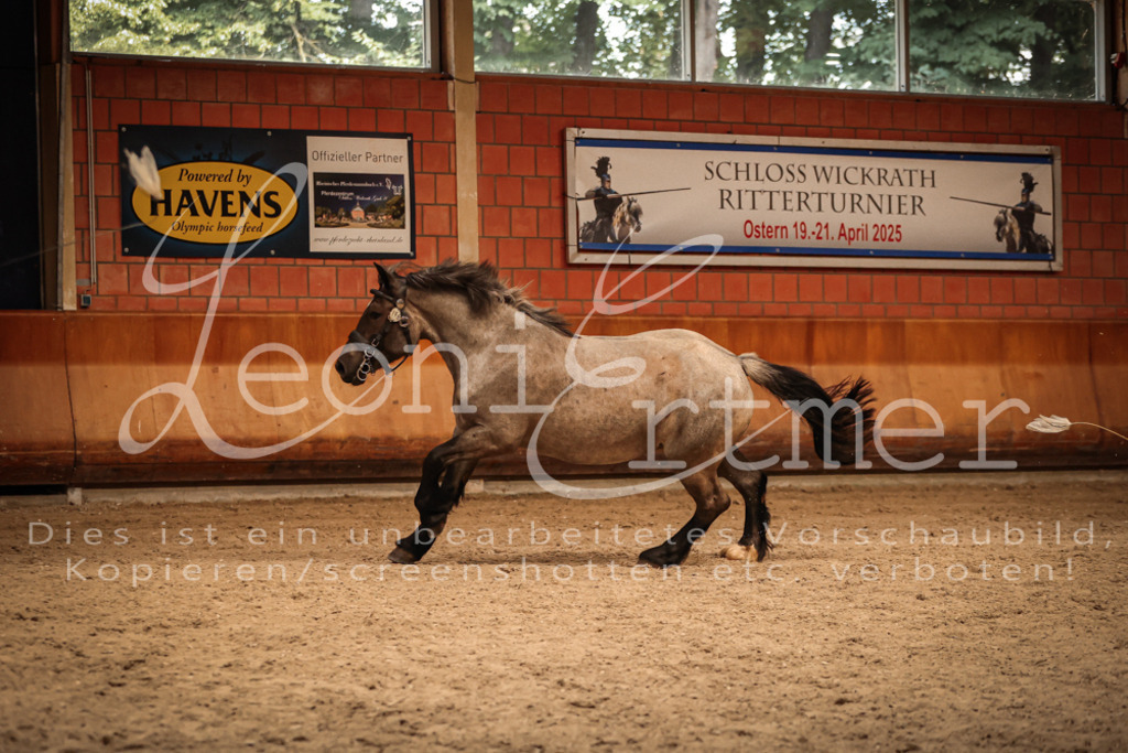 SaFL00338 | Leoni Ertmer Photography - Realisiert mit Pictrs.com