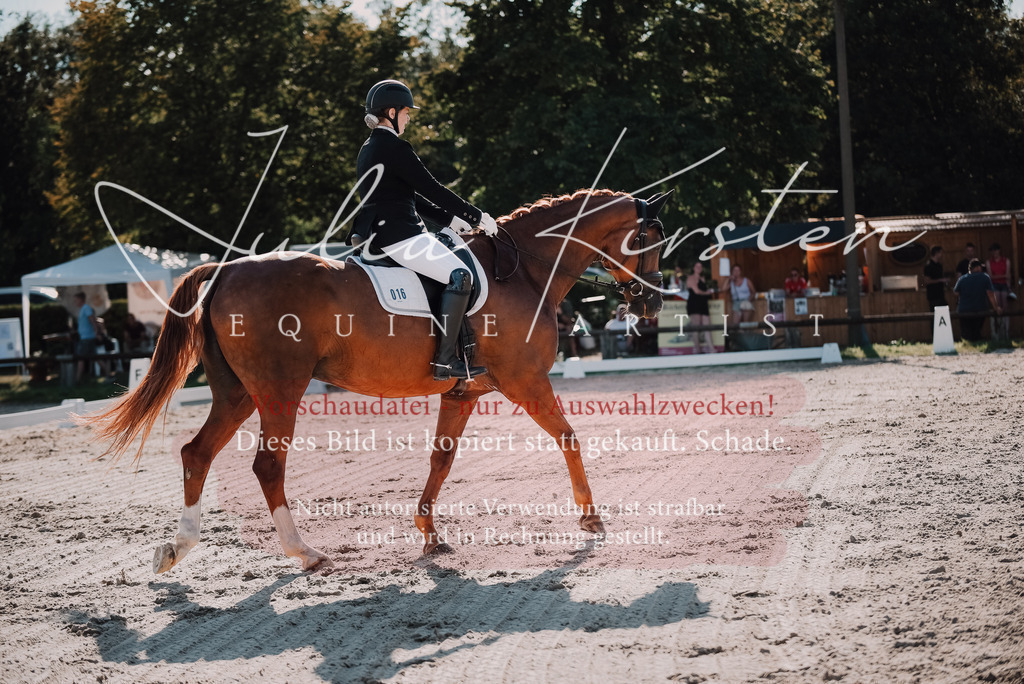 DSC_0442 | Pferde- und Turnierfotografie in Westsachsen. Pferdeportraits, Auftragszeichnungen und intuitive Kunst.