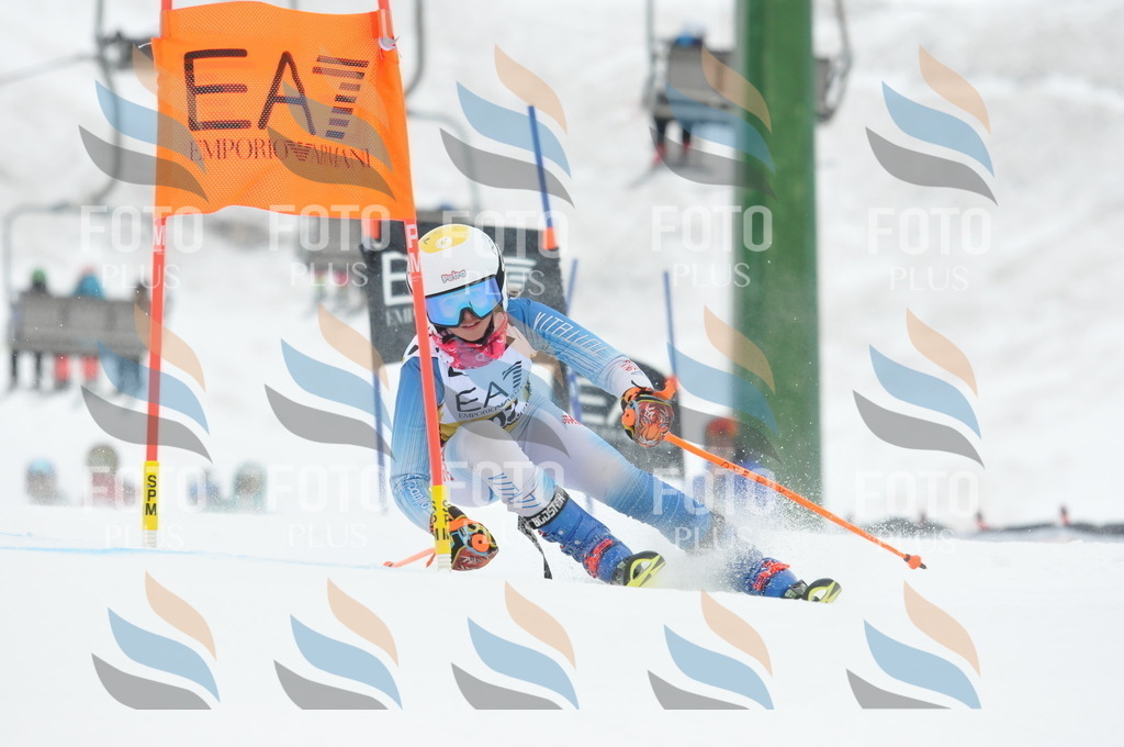 DSC_8860 | holidayphoto