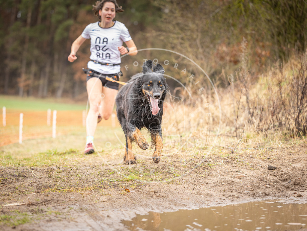 DV3A0160 | Hundefotografie, Tierfotograf, Pfotenfotografie, Fotoshooting Hund, Hunde Portrait, Hundesport, Hundeportraits, Heideshooting, Hunde, Sportfotograf, Hundefotograf, Turnierhundsport, THS,  - Realisiert mit Pictrs.com
