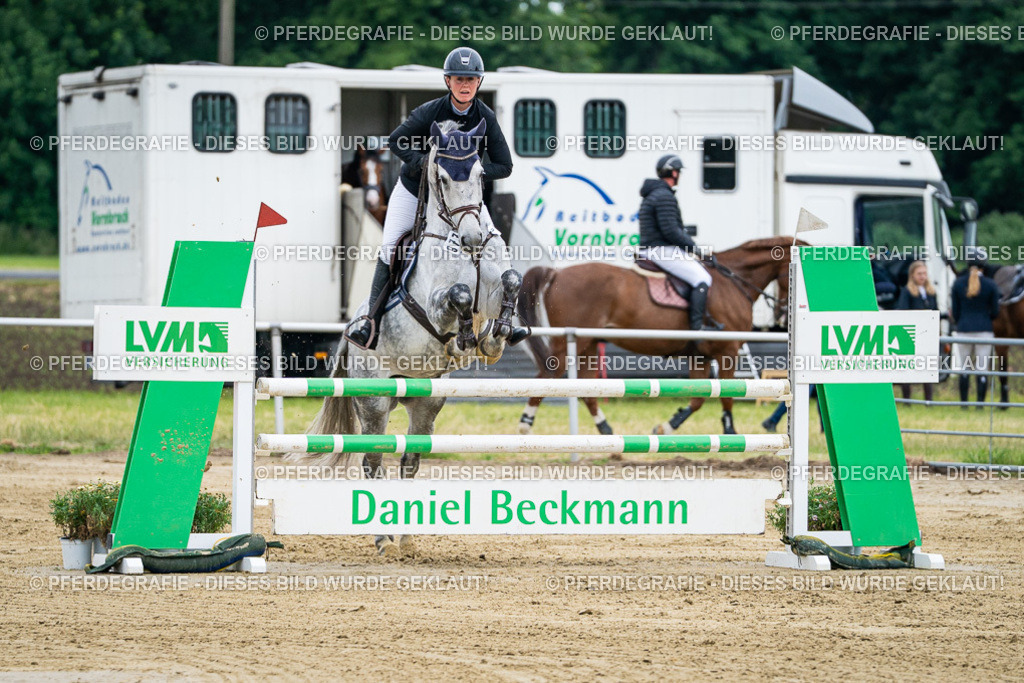 DSC05901 | Pferdegrafie