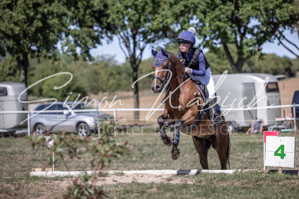 20260906-_3LI3775 | Tierfotografie Pferde, Hunde, Katzen, Haustiere.
Turnierfotografie Reitturniere, Reiten, Springreiten, Dressur in Hanau, dem Main-Kinzig-Kreis und dem Rhein-Main- Gebiet um Frankfurt