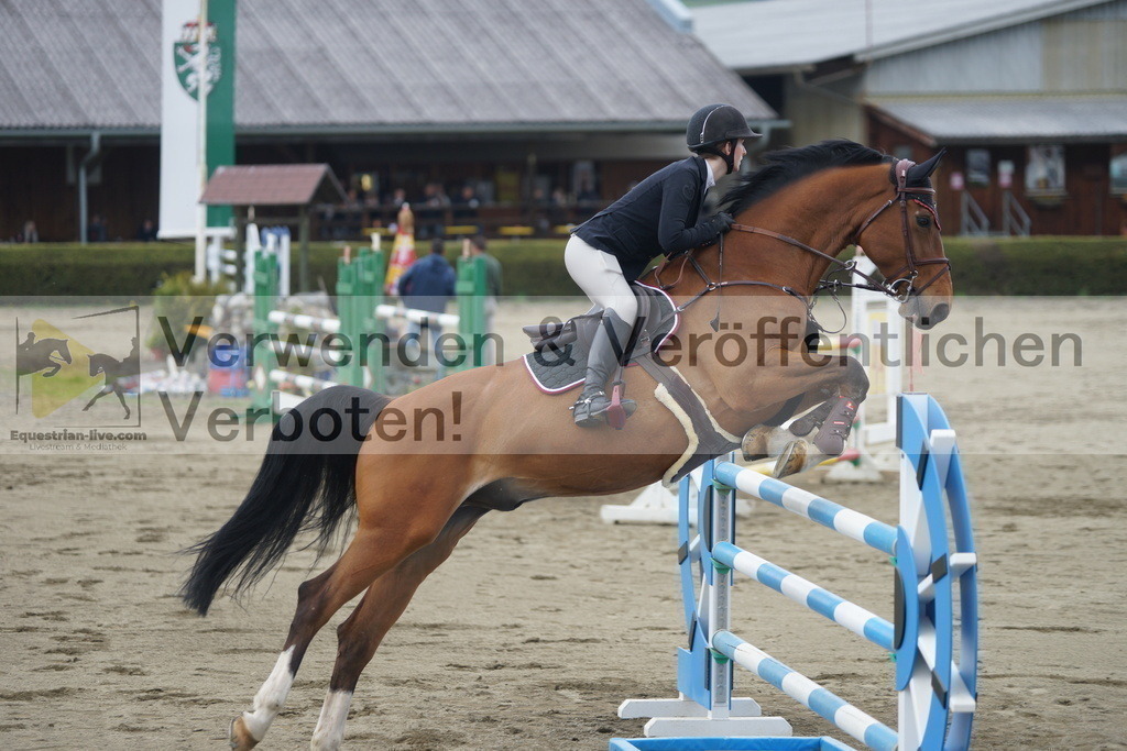 DSC01532 | equestrian-live-com