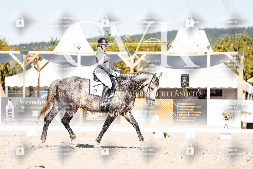 CK908234 | Turnierfotografie Pferdefotografie Trier Rheinland-Pfalz Pferdesport Reitsport Tierfotografie Sportfotografie Pferdevideo Pferdevideografie Equestrianvideography equestrianphotography  - Realisiert mit Pictrs.com
