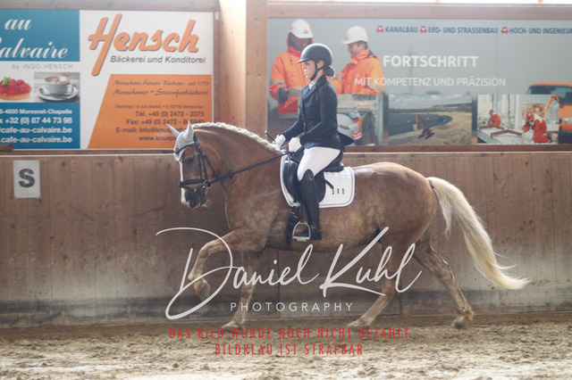 DKP44147 | Turniersportfotografie; Pferdefotografie; Dressurfotografie