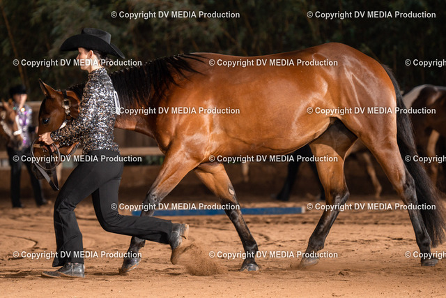 Erbach Tag 2-170 | dv-media-shop - Realized with Pictrs.com