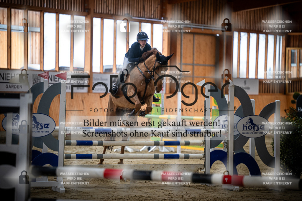 DOS_0790 | Entdecke hochwertige Reitturnierfotos von Foto Oger. Professionell, emotional und authentisch – jetzt Lieblingsmomente im Shop bestellen.Deutschlandweite Turnierfotografie. - Realisiert mit Pictrs.com