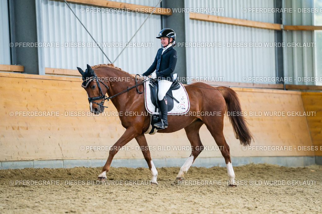 DSC05206 | Pferdegrafie